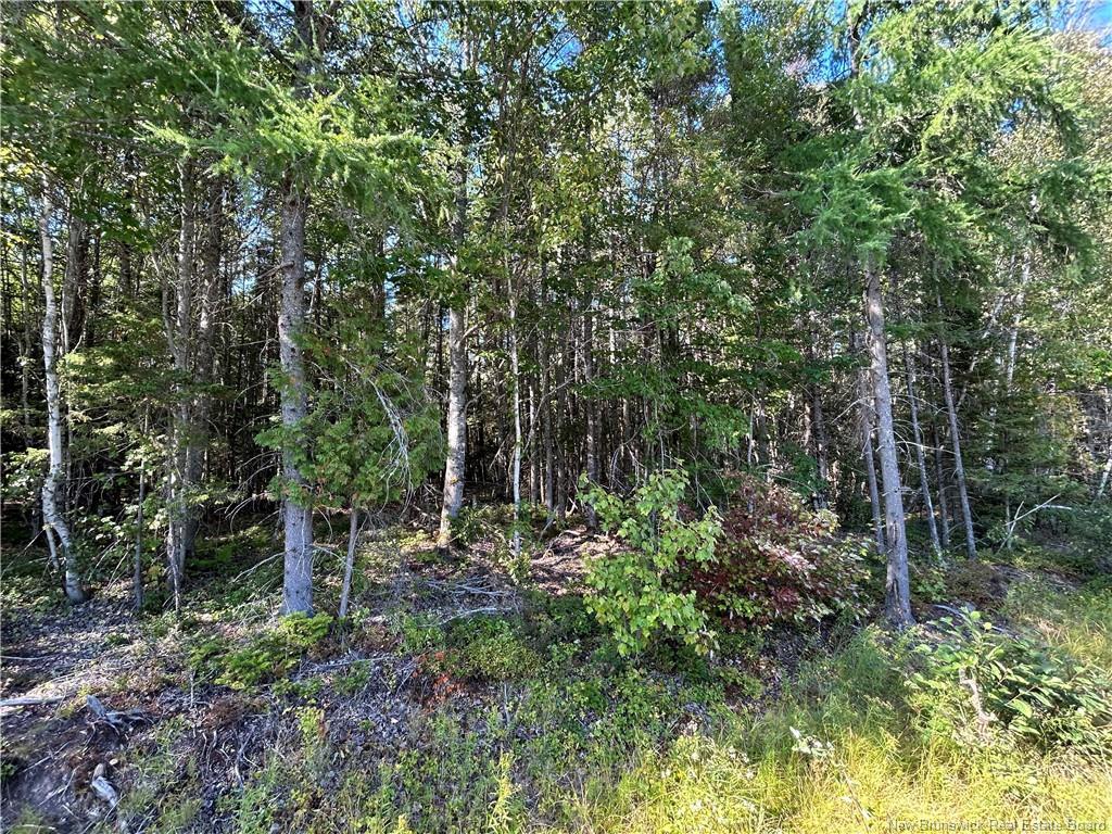 Lot 25-3 Upper Midland Rd, Norton, NB