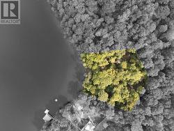 300 BIGWIN ISLAND Lake Of Bays (Franklin), ON P0B 1A0