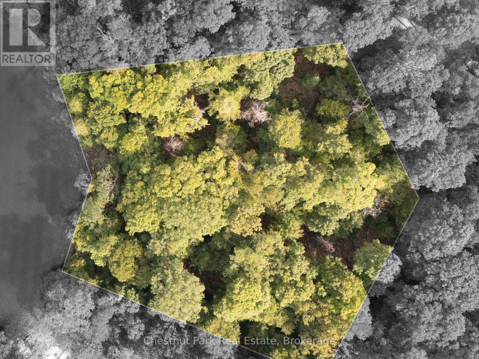 300 Bigwin Island, Lake Of Bays (Franklin), ON