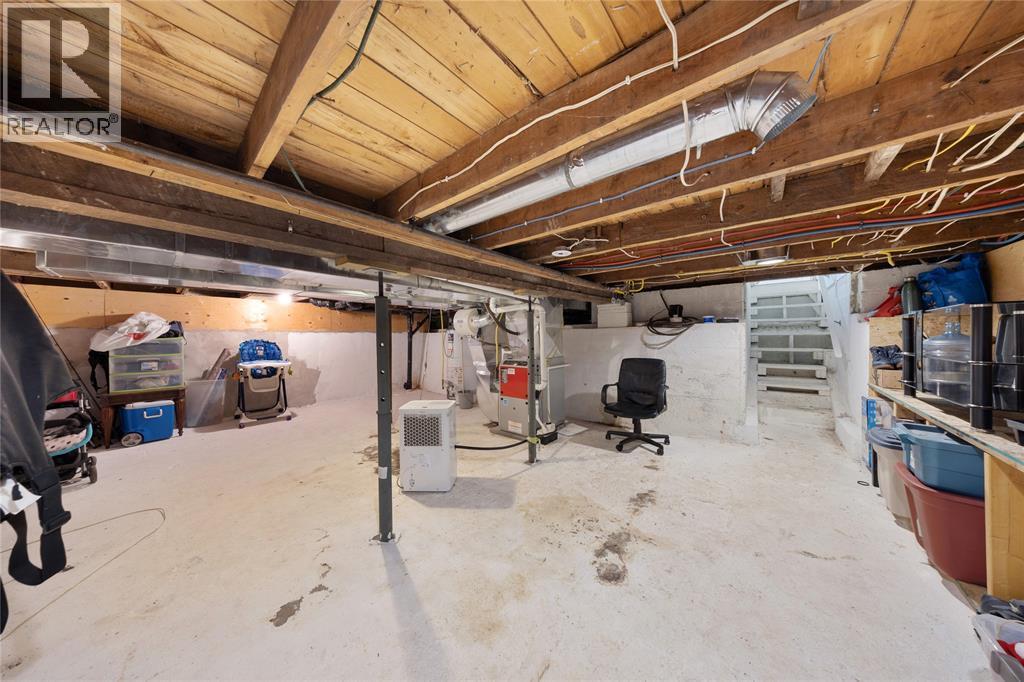 452 Maude Street, Petrolia, ON - Indoor Photo Showing Basement