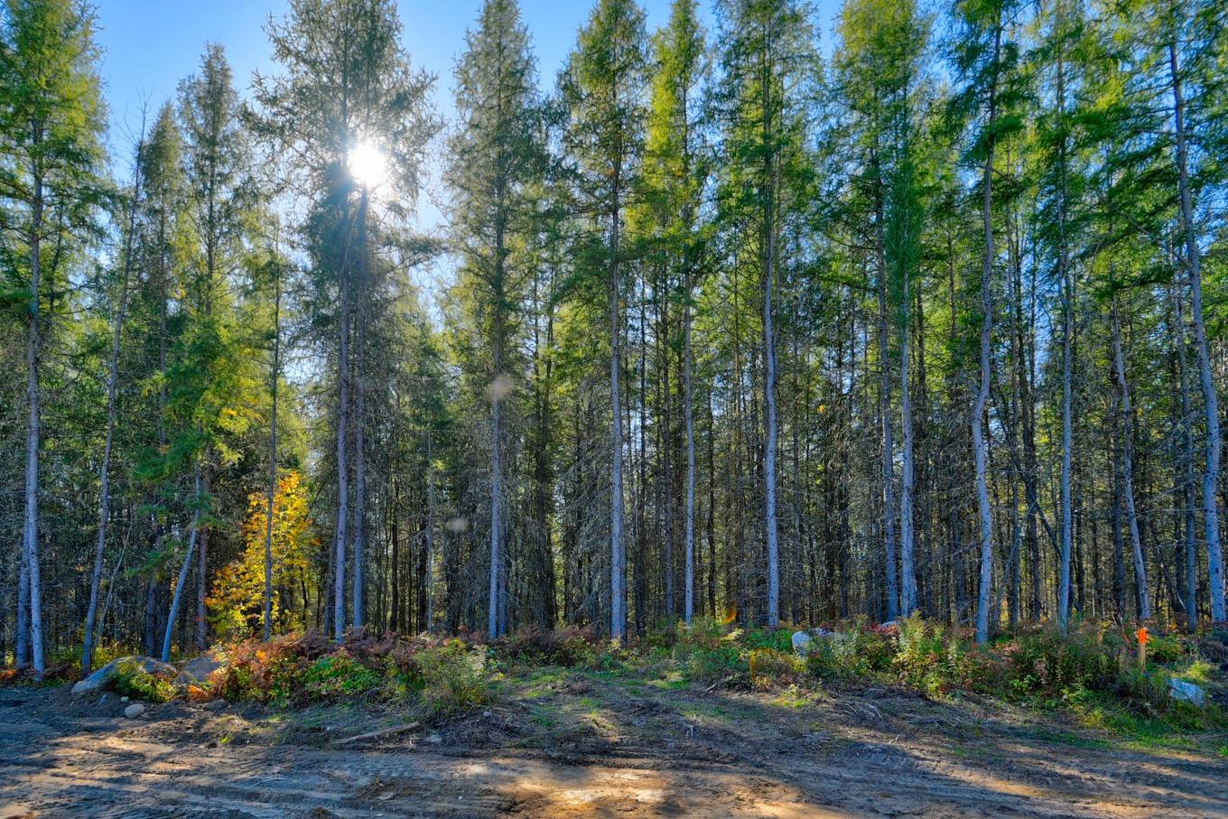 Overall view - 7-Ch. De La Belle Dame, Saint-Michel-Des-Saints, QC