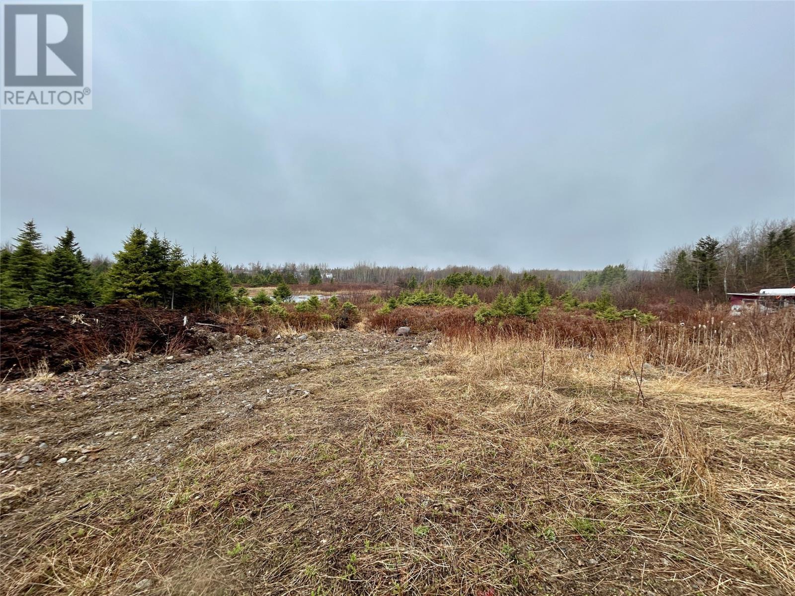 10 Kingston Road, Grand Falls-Windsor, NL