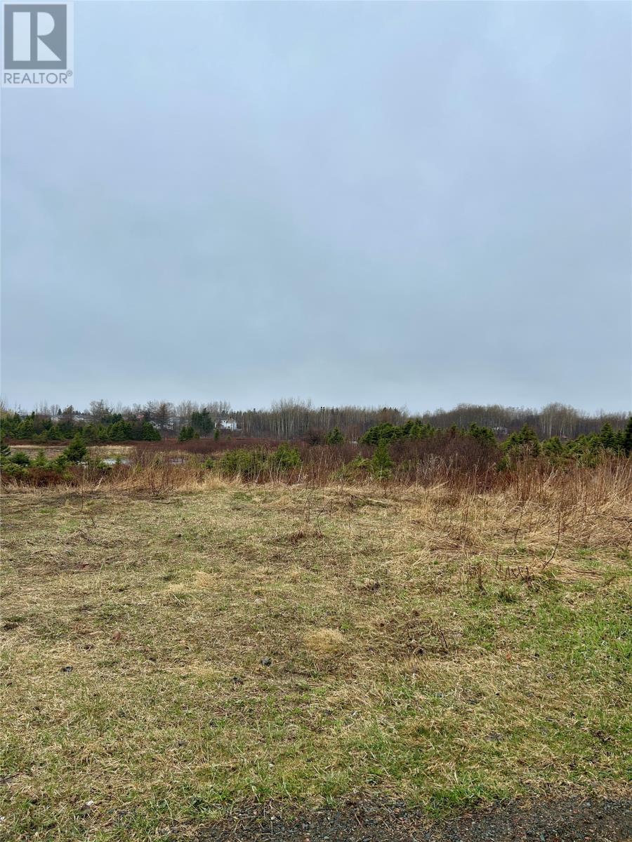 10 Kingston Road, Grand Falls-Windsor, NL