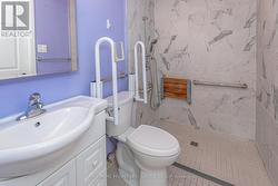 wheelchair accessible shower stall -