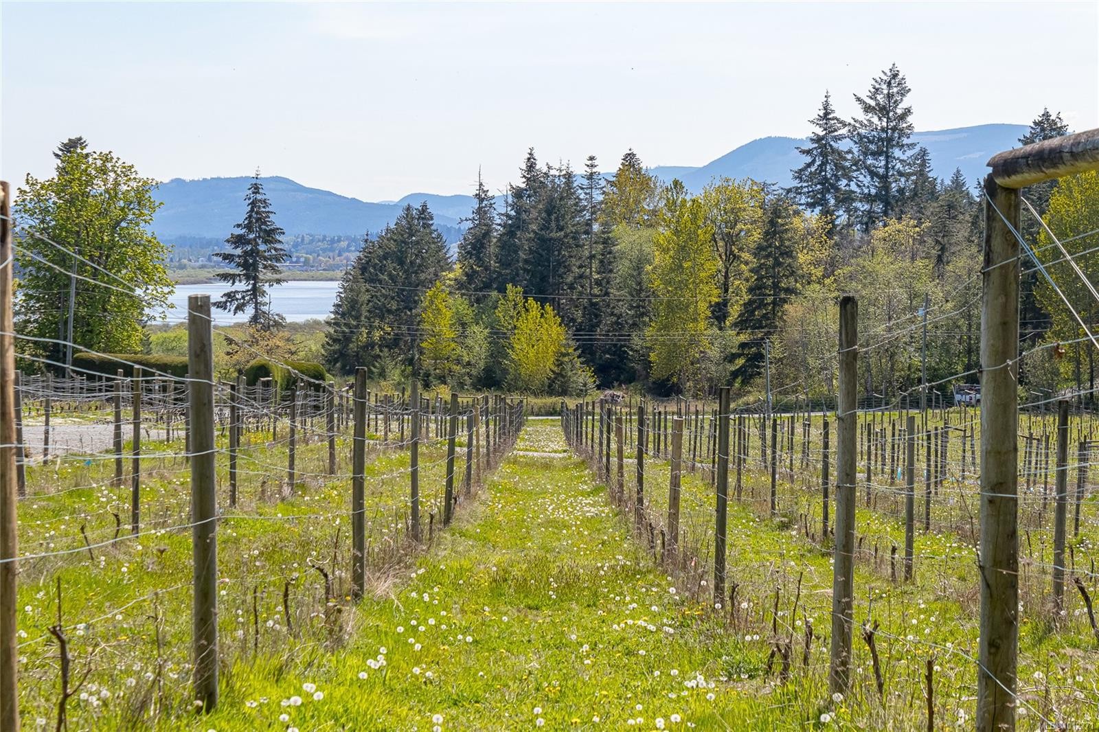 6798 Norcross Rd, Duncan, BC