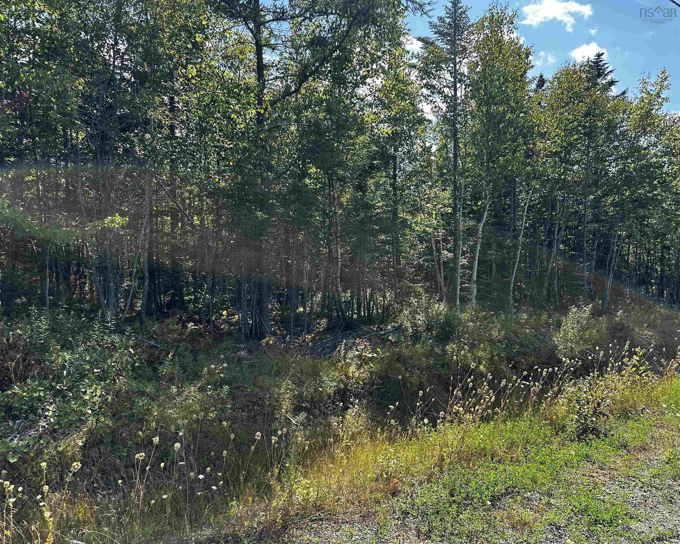 Blaze Road, Loch Lomond, NS