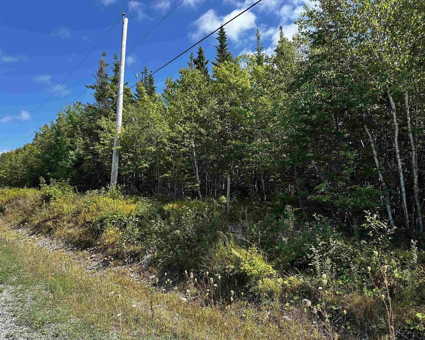 Blaze Road, Loch Lomond, NS