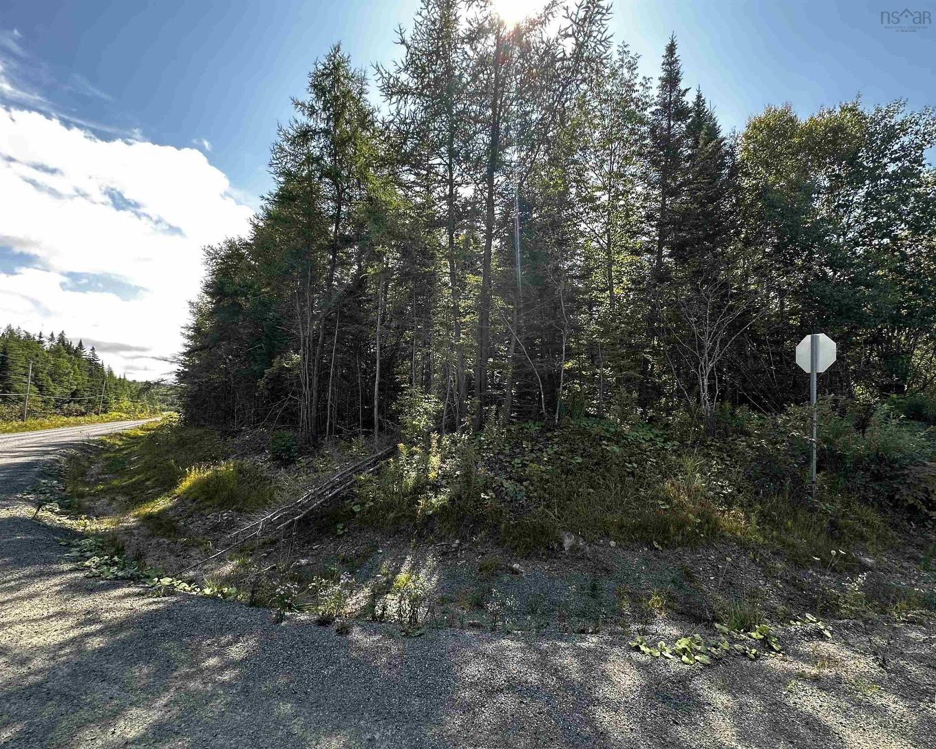 Blaze Road, Loch Lomond, NS