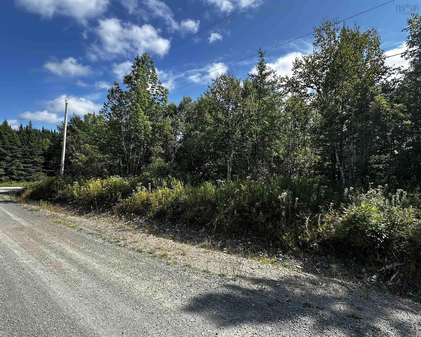 Blaze Road, Loch Lomond, NS