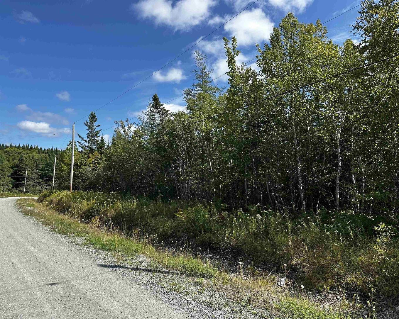 Blaze Road, Loch Lomond, NS