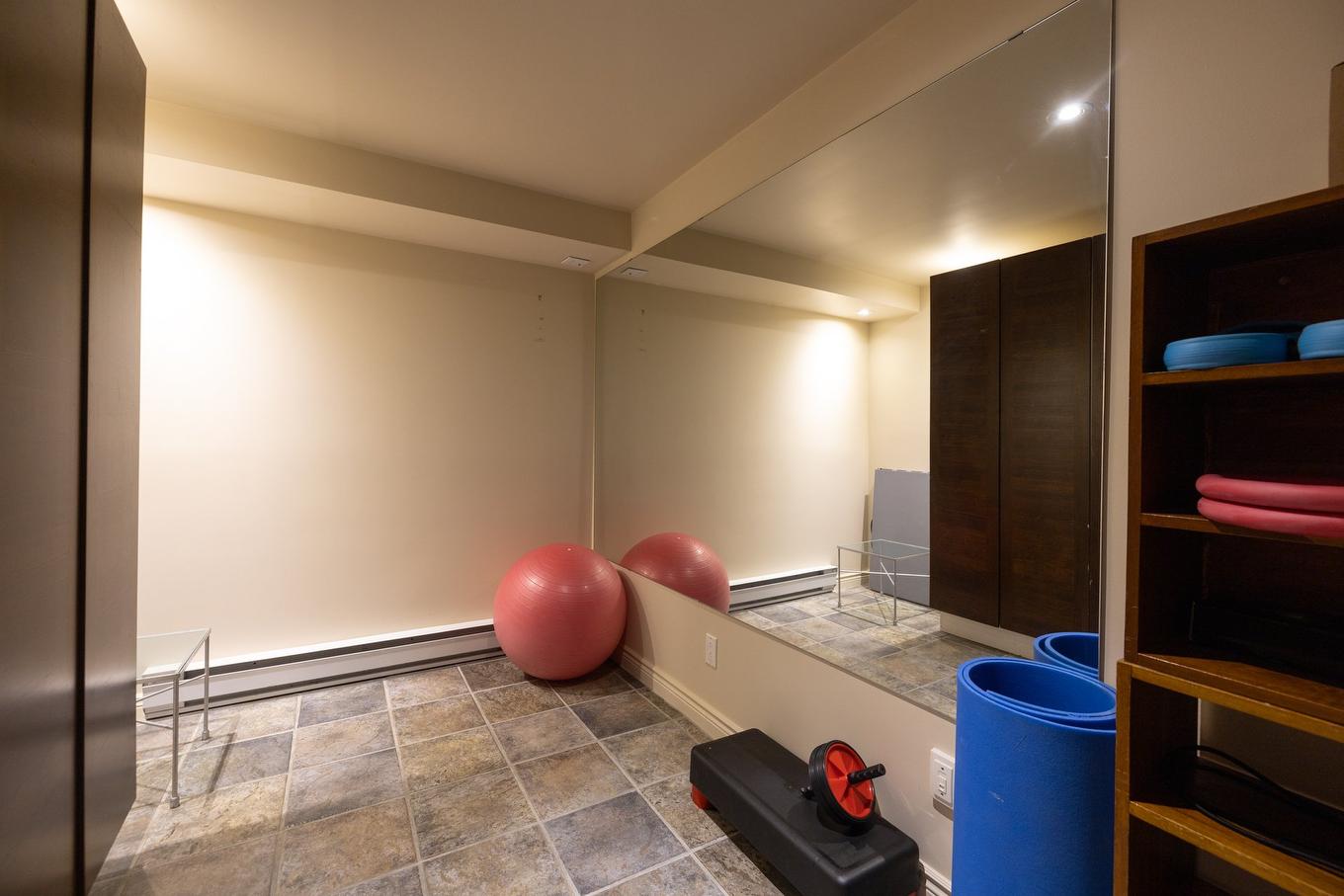 Salle d'exercice - 458 Rue Roumefort, Montréal (L'Île-Bizard/Sainte-Geneviève), QC - Indoor Photo Showing Other Room