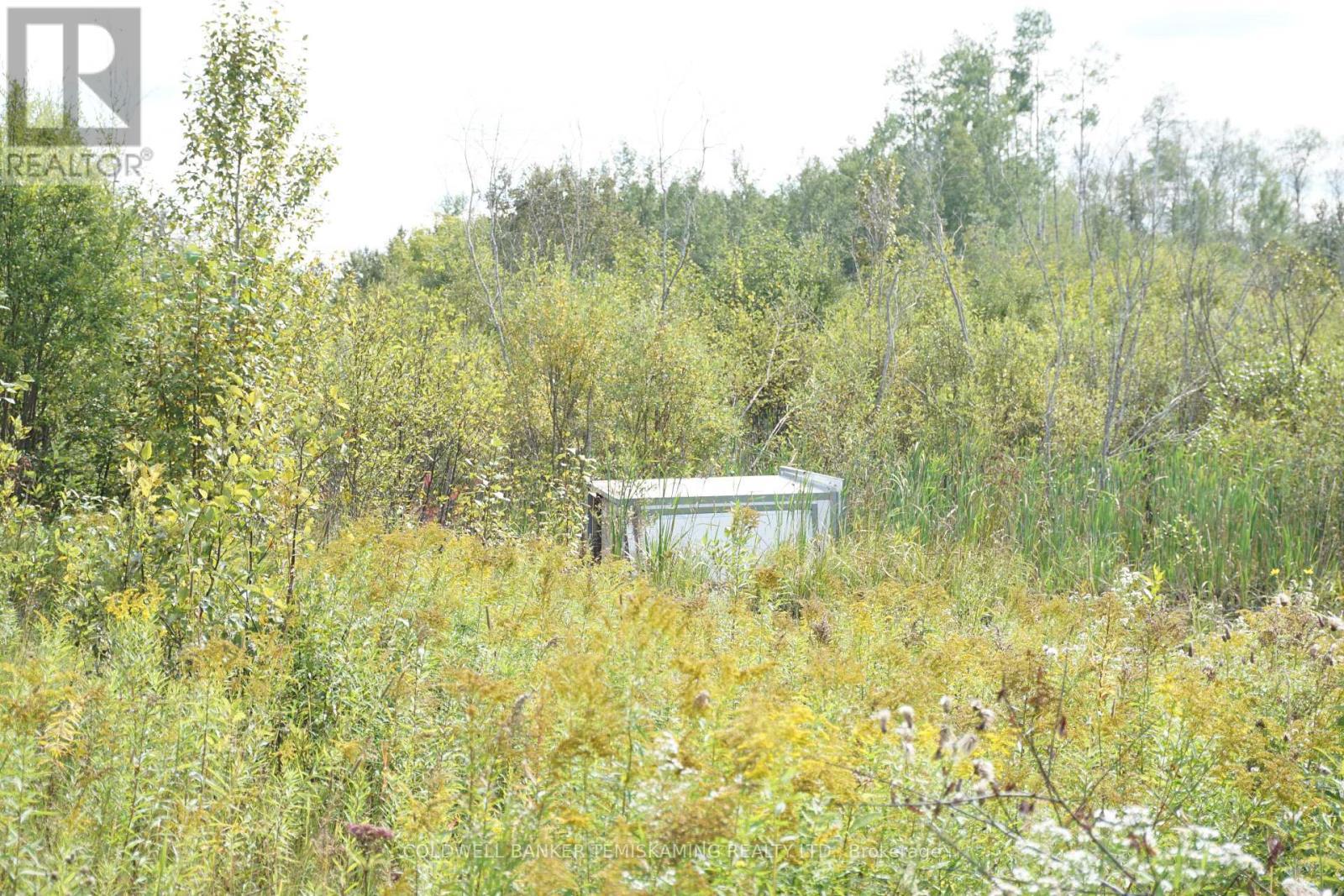 Lot 1 Campbell'S Road, Timiskaming (Tim - Outside - Rural), ON - Outdoor