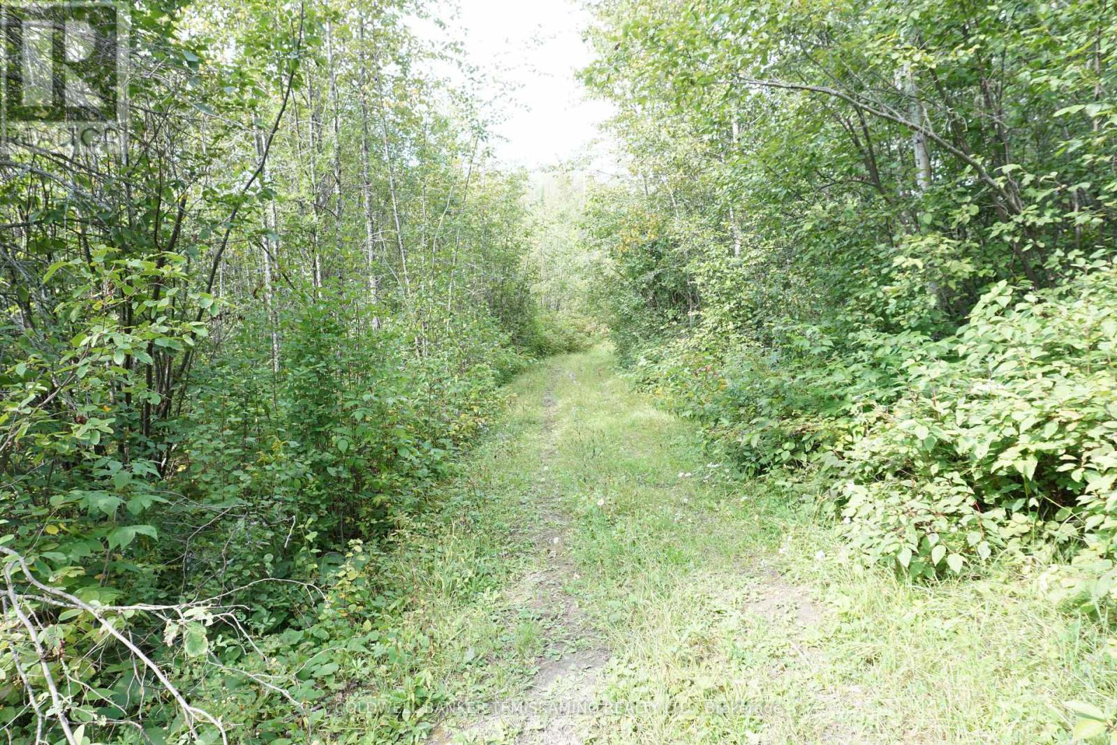 Lot 1 Campbell'S Road, Timiskaming (Tim - Outside - Rural), ON - Outdoor