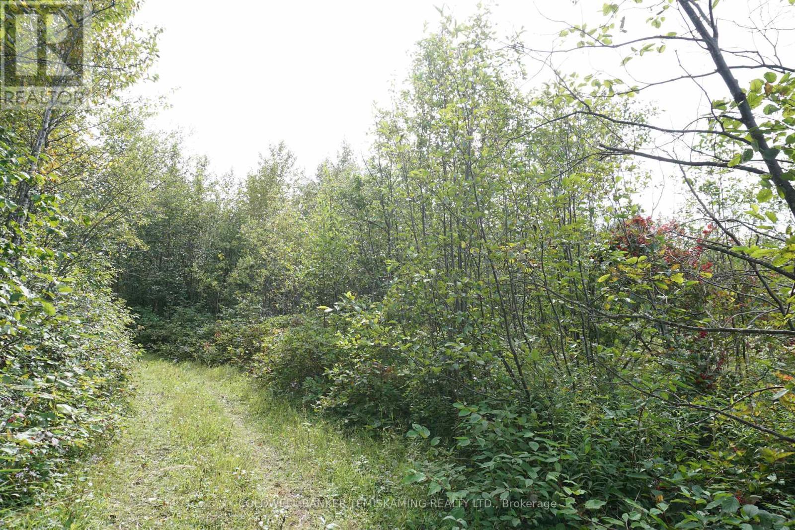 Lot 1 Campbell'S Road, Timiskaming (Tim - Outside - Rural), ON - Outdoor
