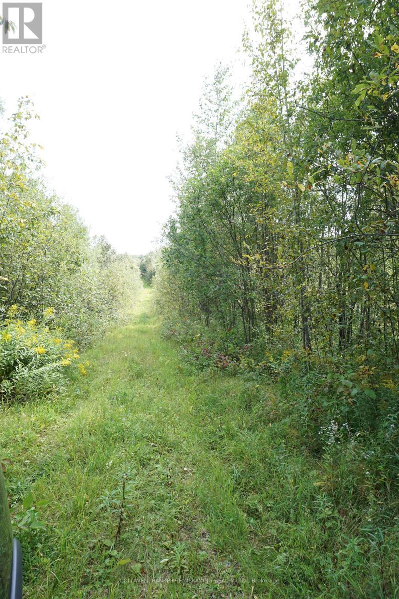 Lot 1 Campbell'S Road, Timiskaming (Tim - Outside - Rural), ON - Outdoor