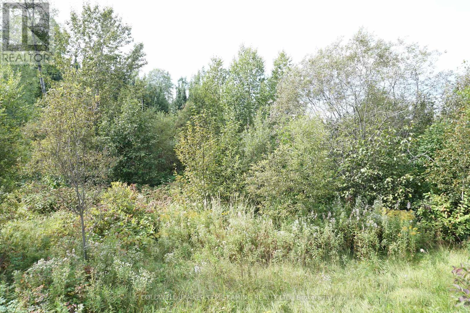 Lot 1 Campbell'S Road, Timiskaming (Tim - Outside - Rural), ON - Outdoor