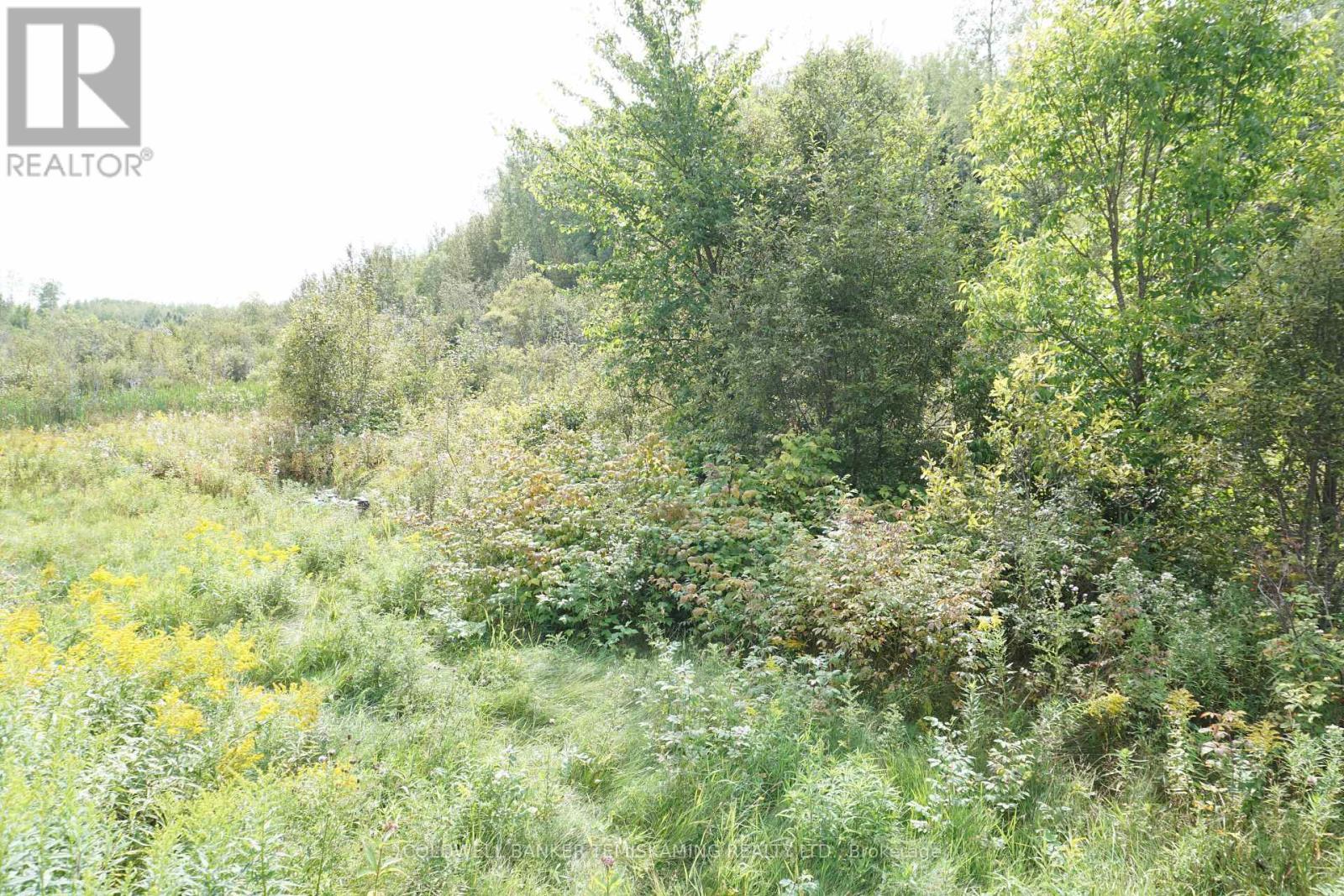 Lot 1 Campbell'S Road, Timiskaming (Tim - Outside - Rural), ON - Outdoor With View