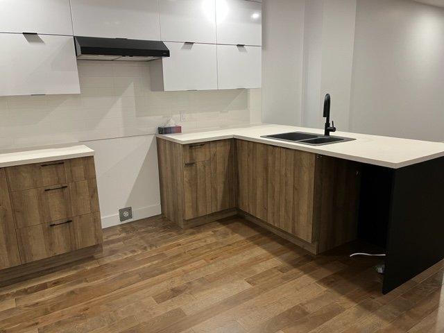 Kitchen - 5657 Boul. St-Michel, Montréal (Rosemont/La Petite-Patrie), QC - Indoor Photo Showing Kitchen With Double Sink