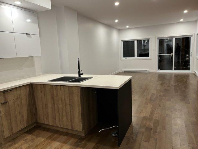 Kitchen - 5657 Boul. St-Michel, Montréal (Rosemont/La Petite-Patrie), QC - Indoor Photo Showing Kitchen With Double Sink