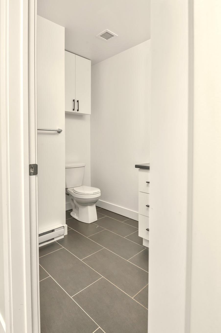 Bathroom - 205-6 Rue Du Curé-André-Préseault, Gatineau (Gatineau), QC - Indoor Photo Showing Bathroom