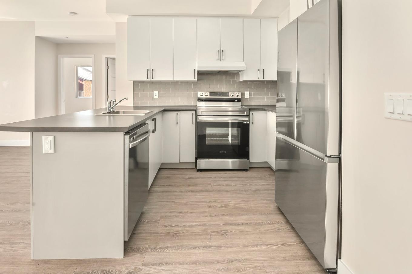 Kitchen - 205-6 Rue Du Curé-André-Préseault, Gatineau (Gatineau), QC - Indoor Photo Showing Kitchen