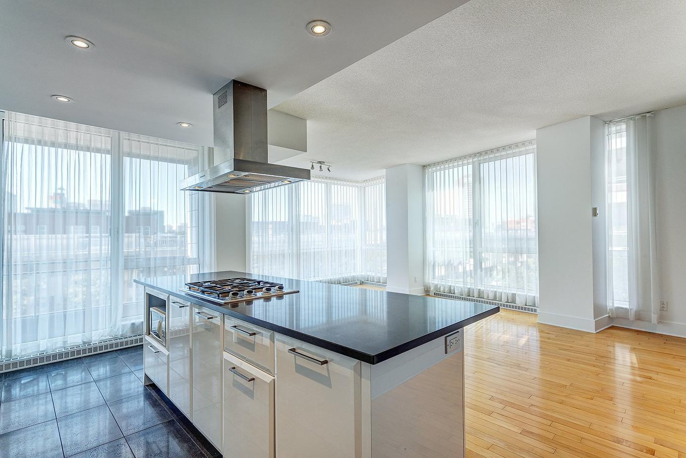 Vue d'ensemble - 304-370 Rue St-André, Montréal (Ville-Marie), QC - Indoor Photo Showing Kitchen With Upgraded Kitchen