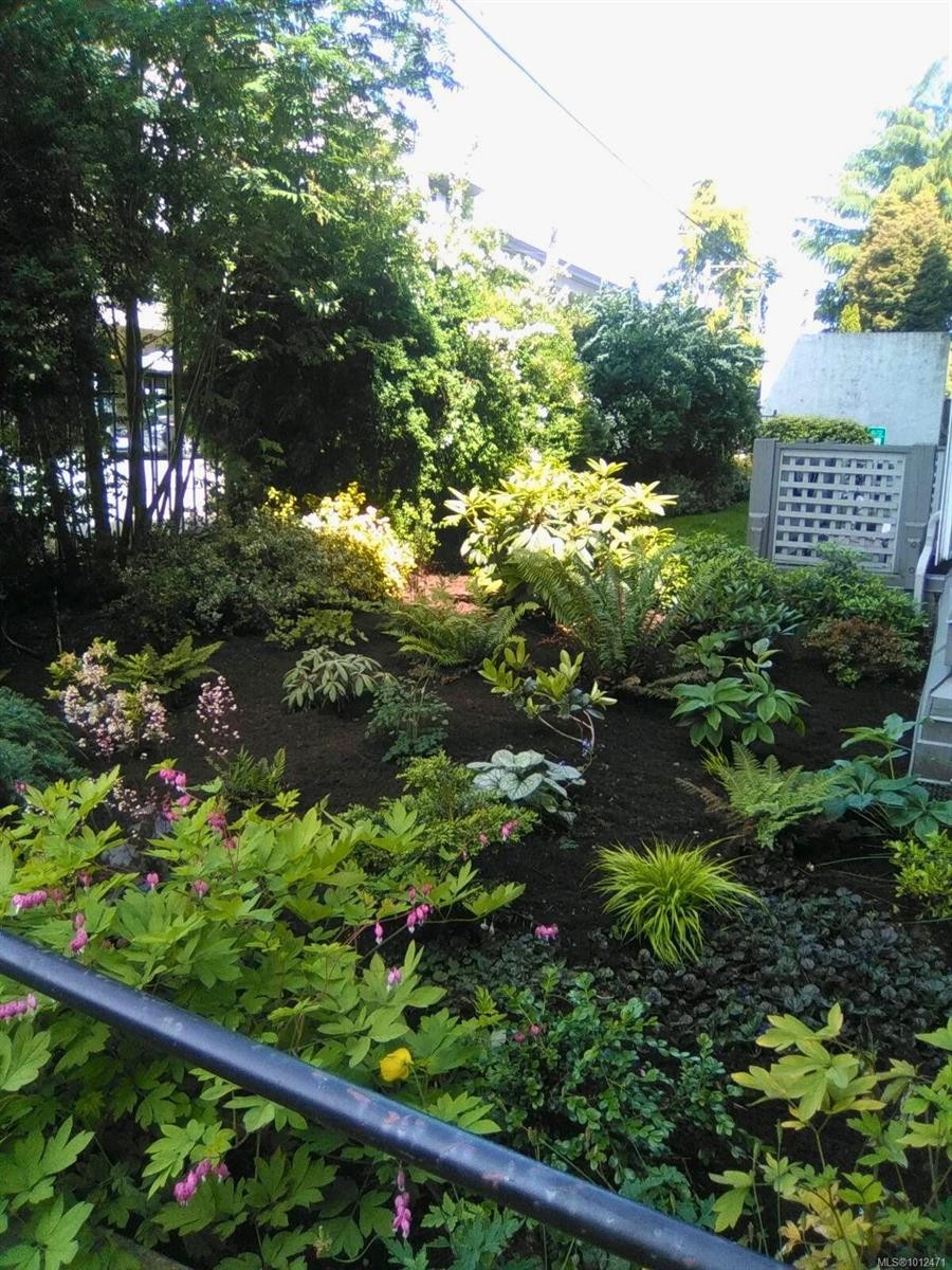 311-827 North Park St, Victoria, BC - Outdoor