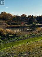 South Facing Backyard Pond Views -