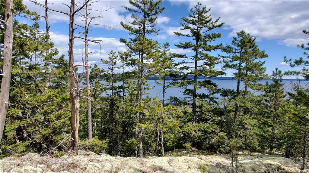 Cunnigham Beach Dock Rd, Chamcook, NB
