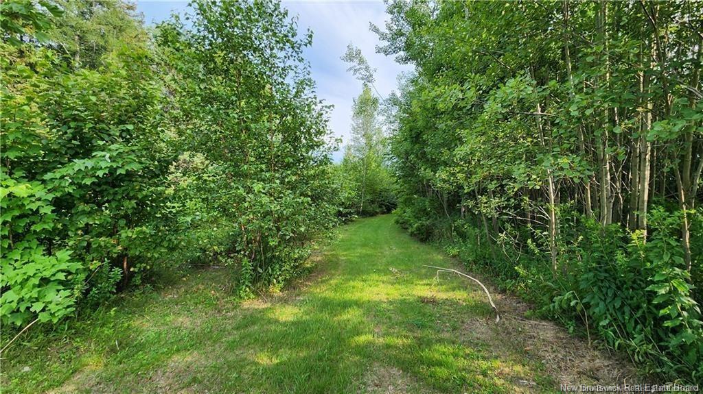 7.6 Acres Rue Pinet, Bertrand, NB
