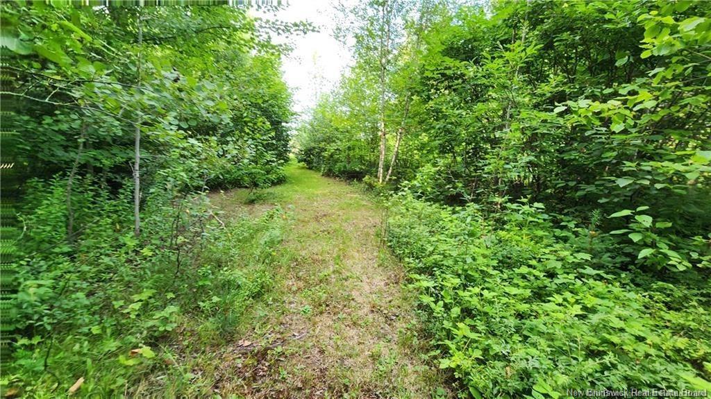 7.6 Acres Rue Pinet, Bertrand, NB