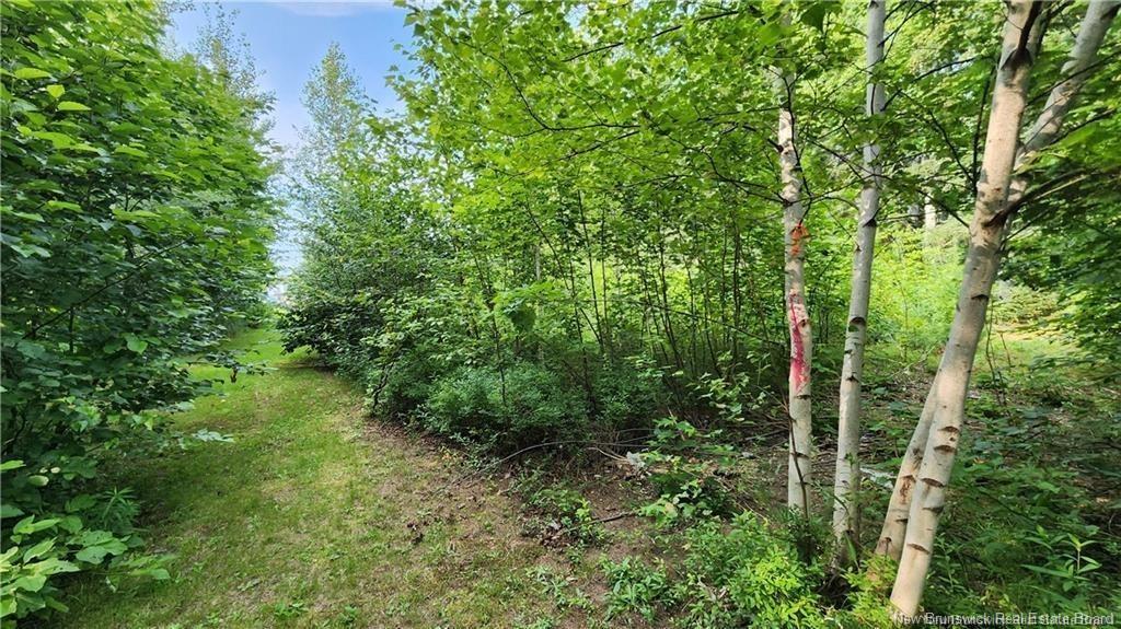 7.6 Acres Rue Pinet, Bertrand, NB