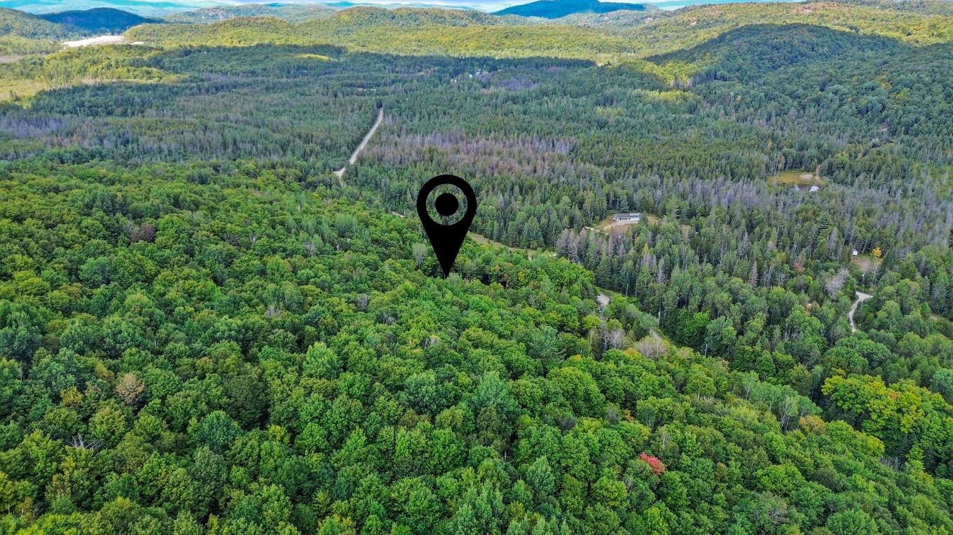 Overall view - 323 Ch. Scotch, Grenville-Sur-La-Rouge, QC - Outdoor With View