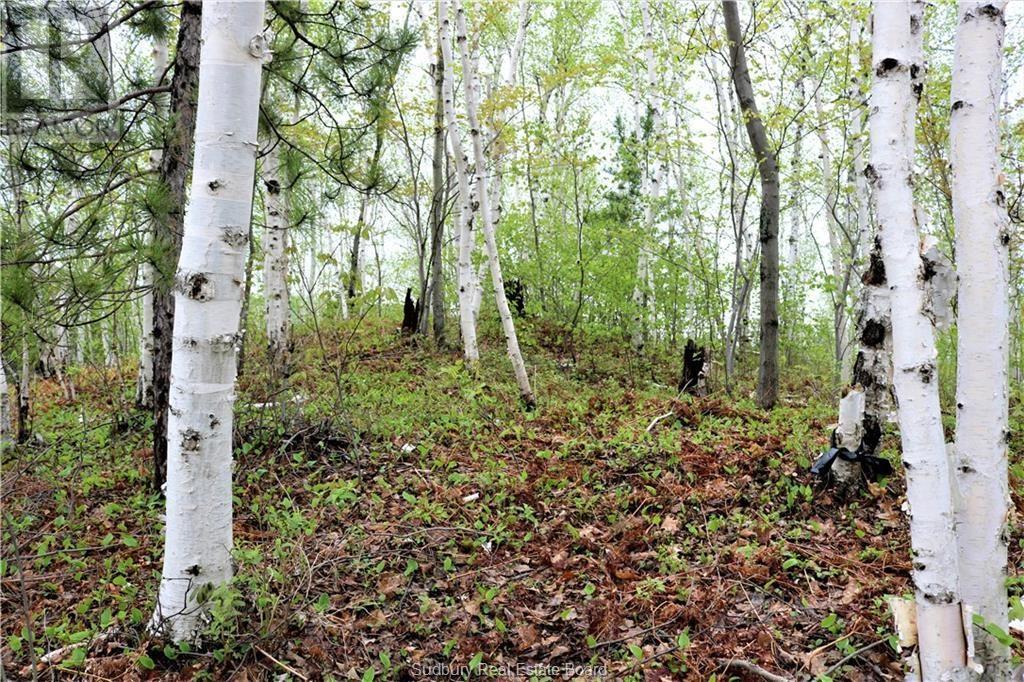 230 Capreol Lake Rd, Capreol, ON