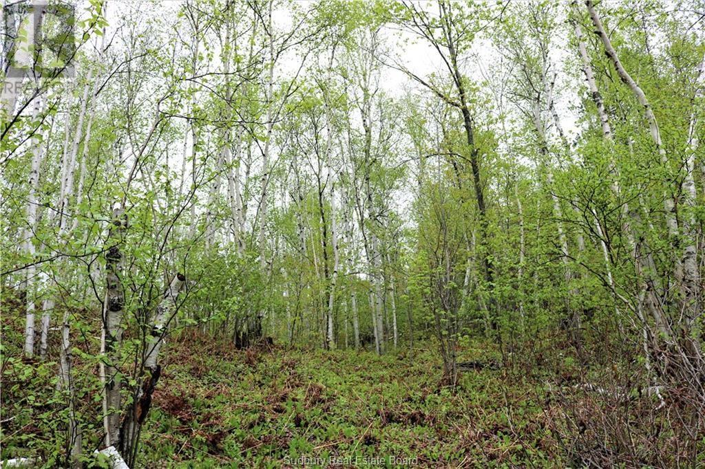 230 Capreol Lake Rd, Capreol, ON