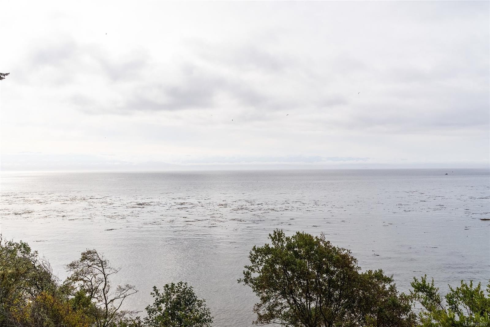 7209 Austins Pl, Sooke, BC