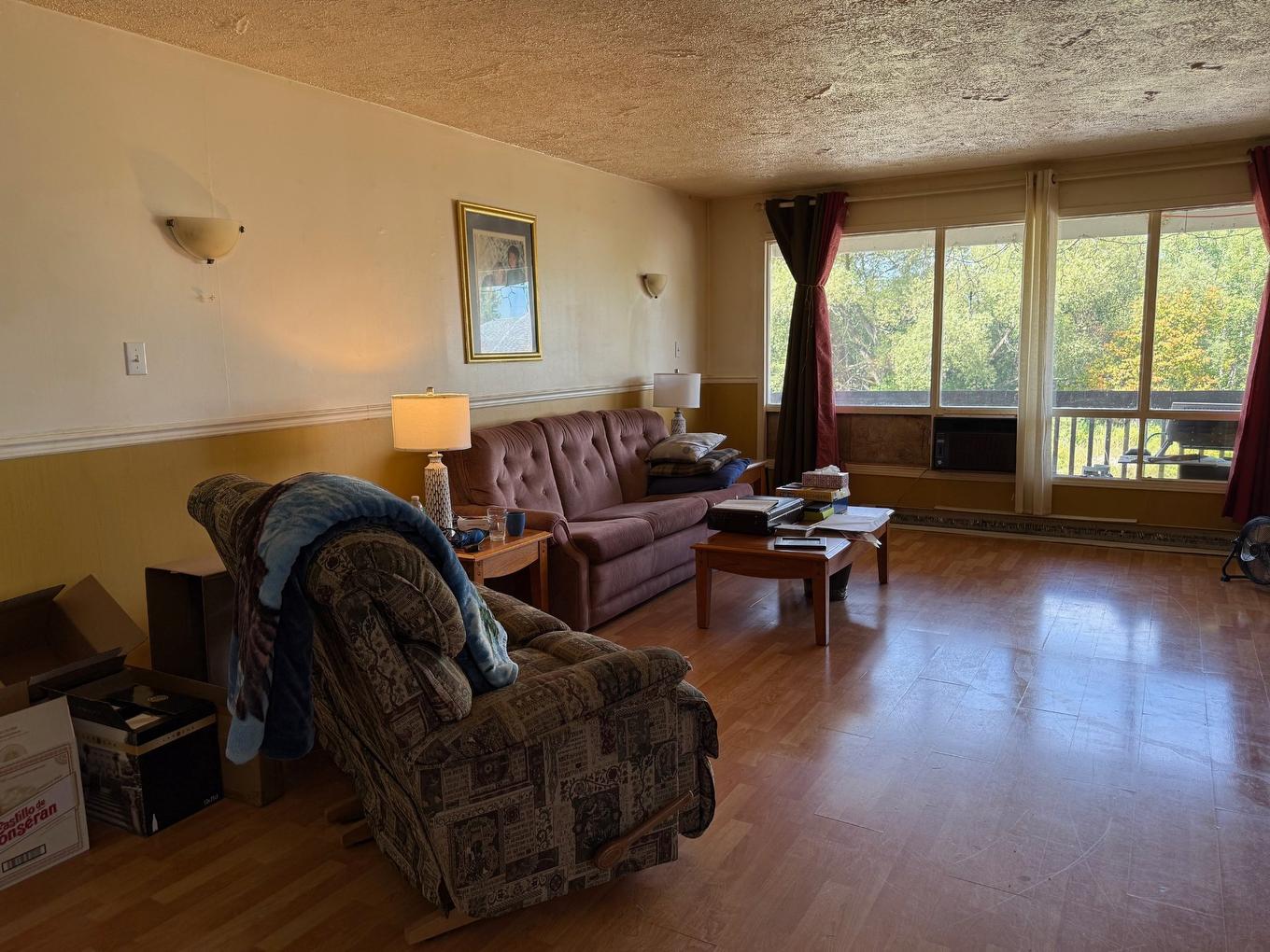 Salon - 38 Av. Omer-Tremblay, Kipawa, QC - Indoor Photo Showing Living Room