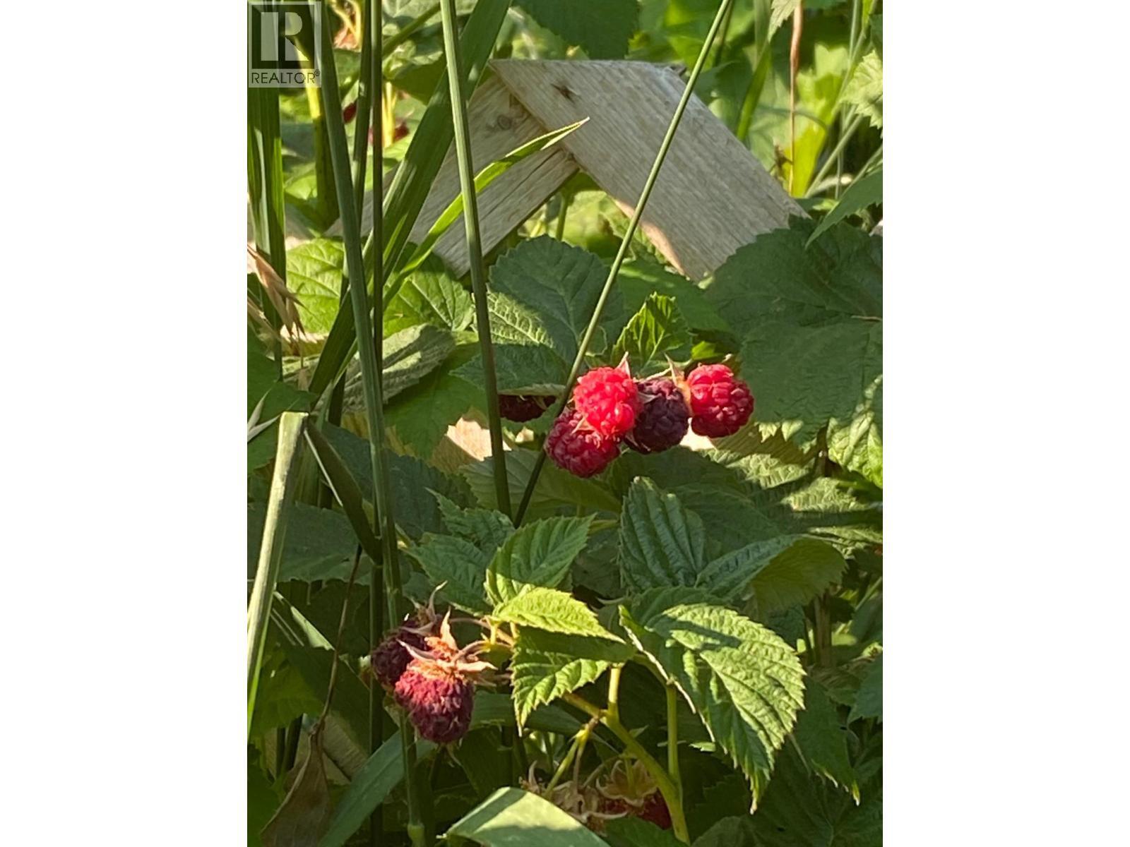 9841 Talbot Road, Salmo, BC