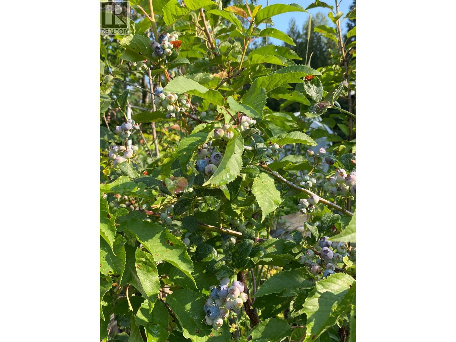 9841 Talbot Road, Salmo, BC