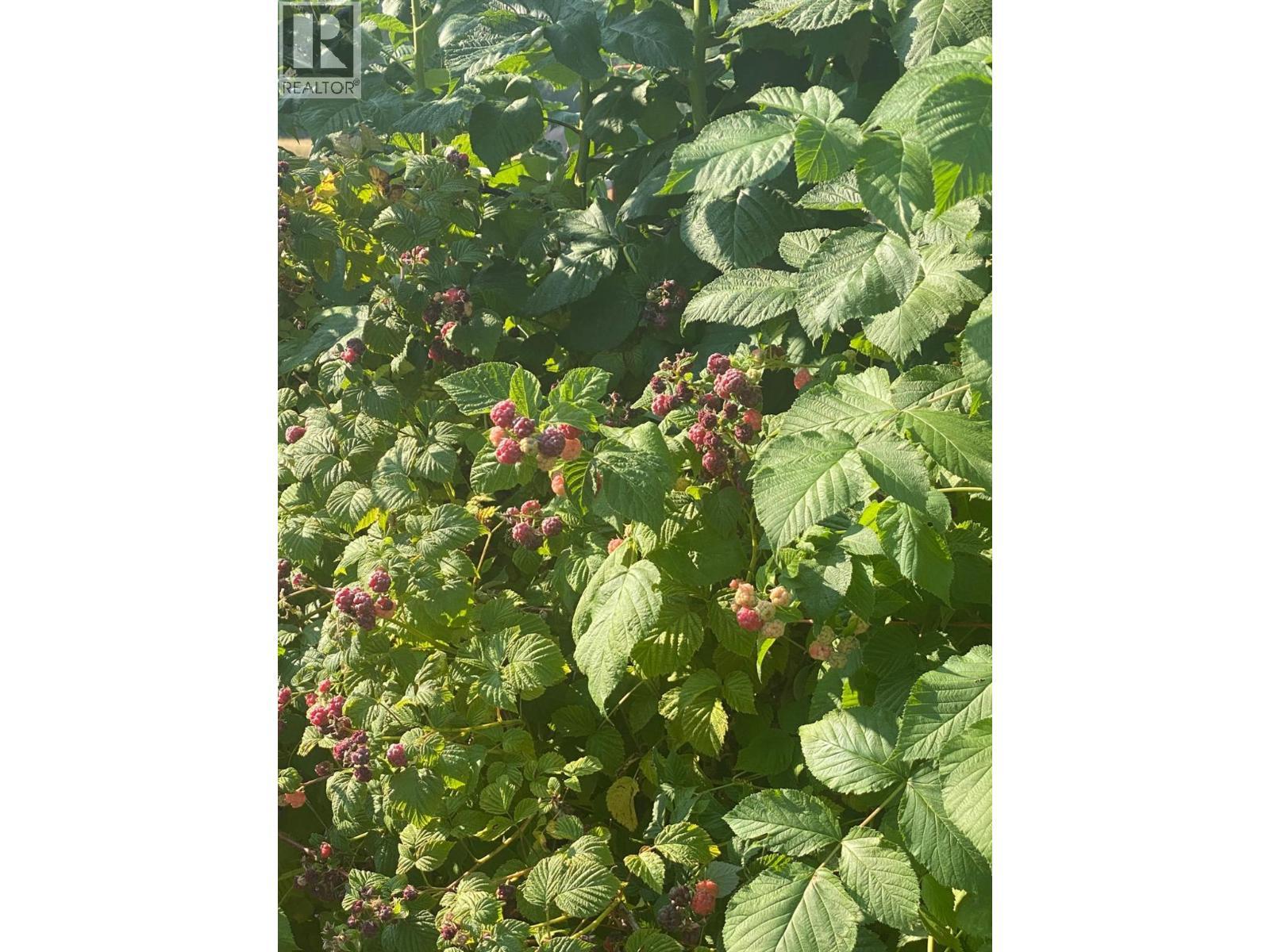 9841 Talbot Road, Salmo, BC