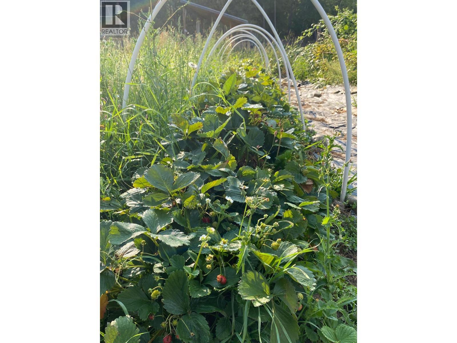 9841 Talbot Road, Salmo, BC