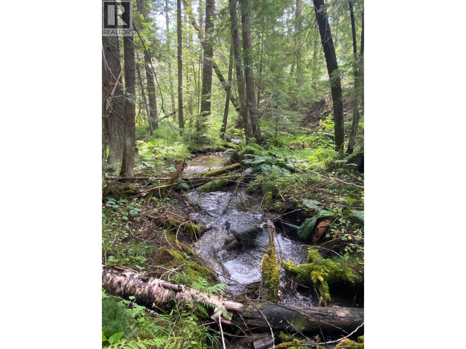 9841 Talbot Road, Salmo, BC