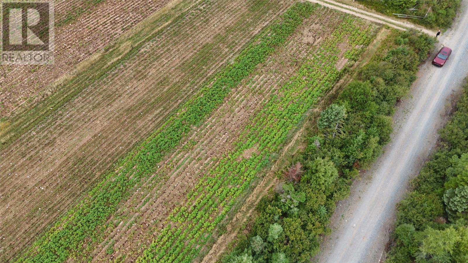 0 Andrews Road, Conception Bay South, NL