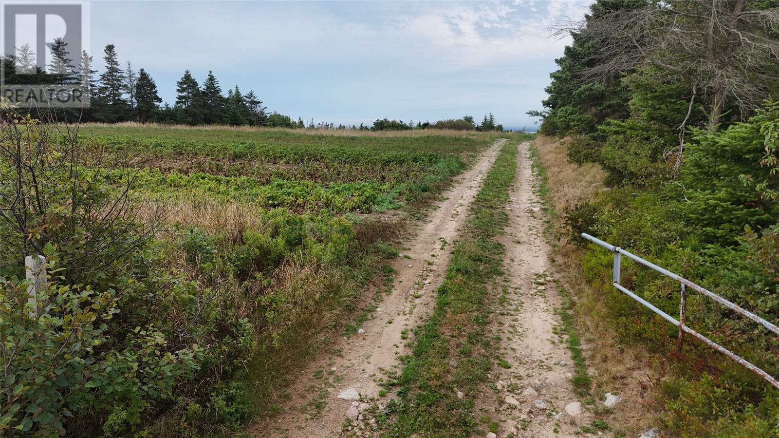 0 Andrews Road, Conception Bay South, NL