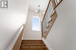 beautiful light cascades into both floors -