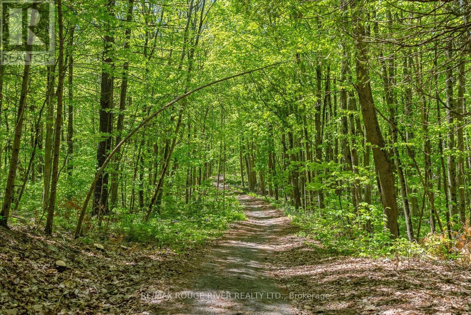 283B Marble Point Road, Marmora And Lake (Marmora Ward), ON