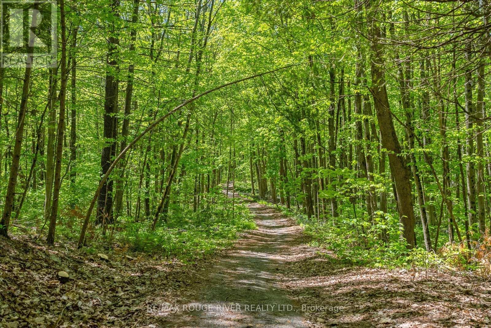 283A Marble Point Road, Marmora And Lake (Marmora Ward), ON