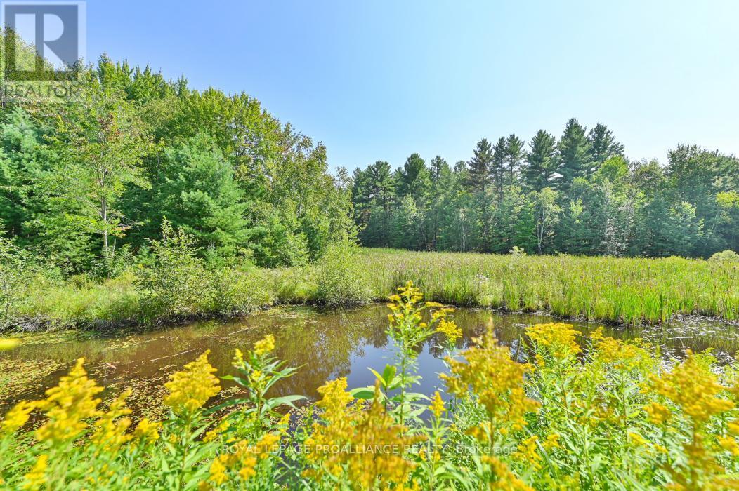 11447 Highway 41, Addington Highlands (Addington Highlands), ON - Outdoor With View