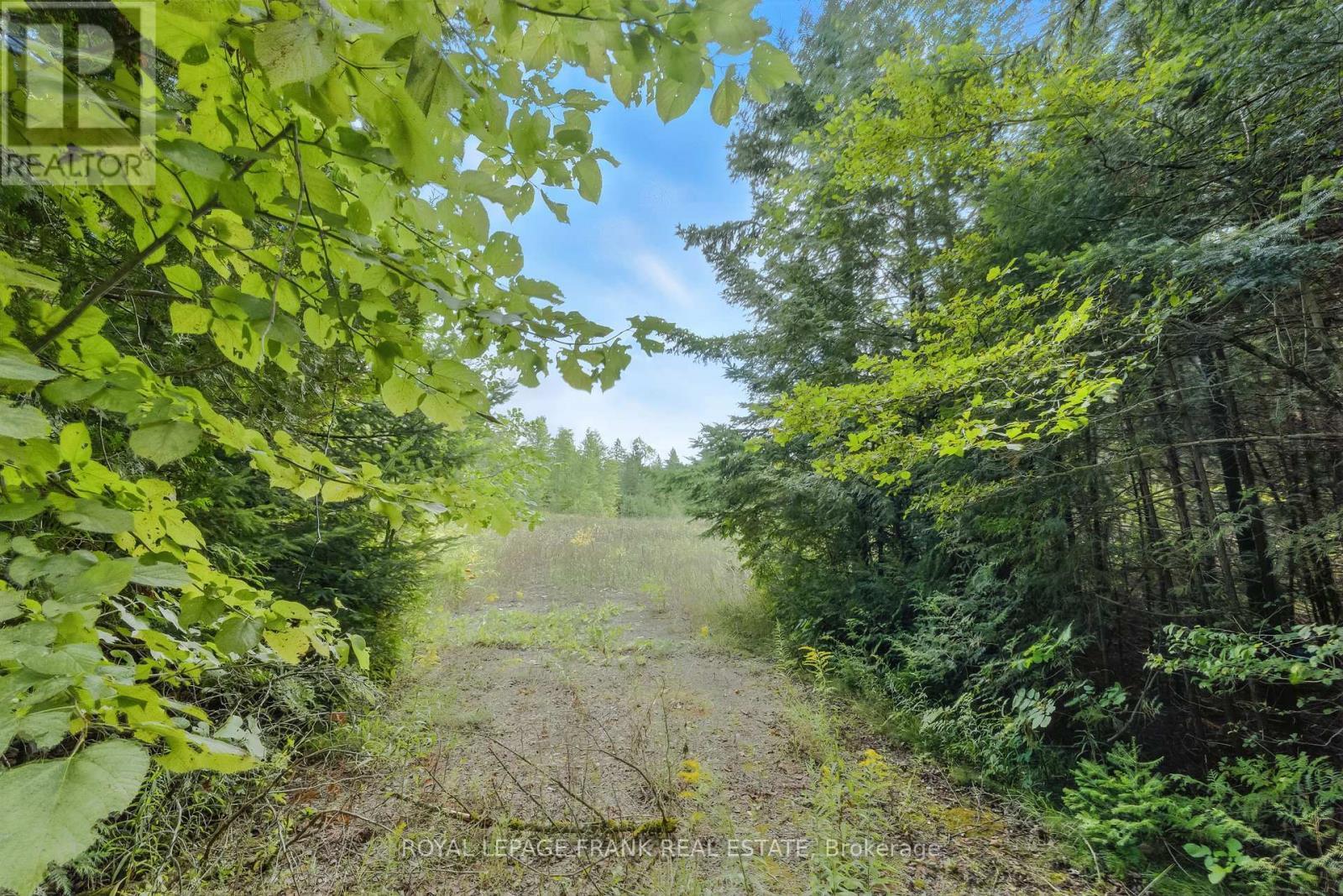 274 Highway 35, Kawartha Lakes (Manvers), ON