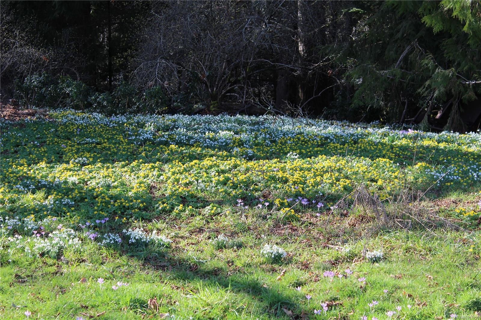 7028 Westholme Rd, Westholme, BC